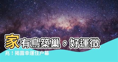 家有鳥築巢|【家裡有鳥築巢】鳥巢報喜！1個跡象代表家宅運勢大。